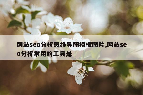 网站seo分析思维导图模板图片,网站seo分析常用的工具是