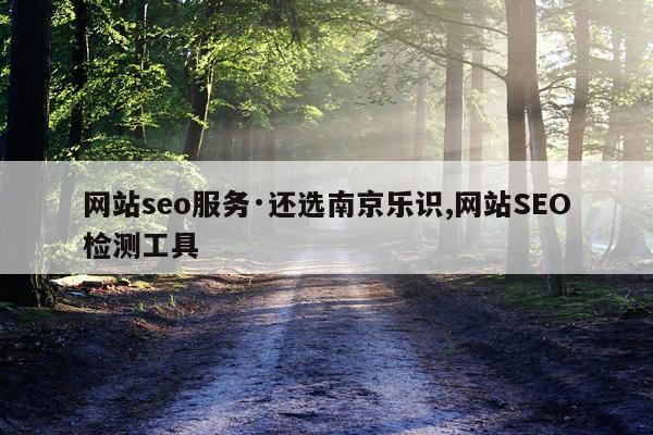 网站seo服务·还选南京乐识,网站SEO检测工具