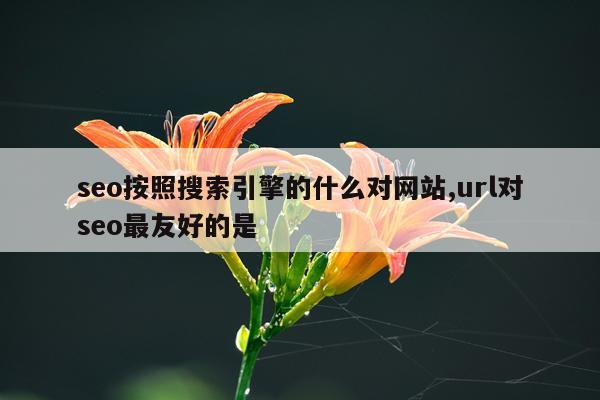 seo按照搜索引擎的什么对网站,url对seo最友好的是