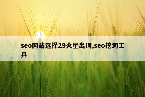 seo网站选择29火星出词,seo挖词工具