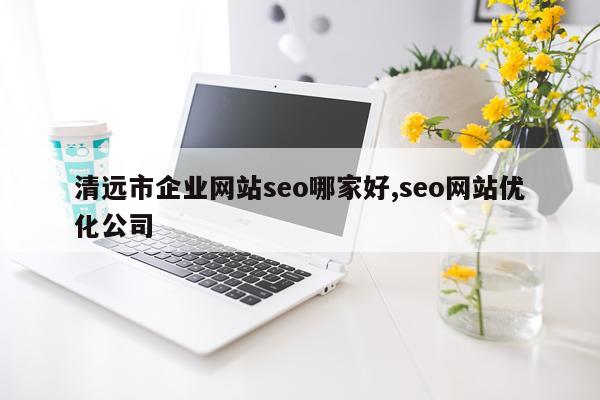 清远市企业网站seo哪家好,seo网站优化公司