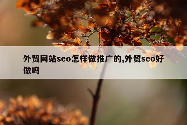 外贸网站seo怎样做推广的,外贸seo好做吗