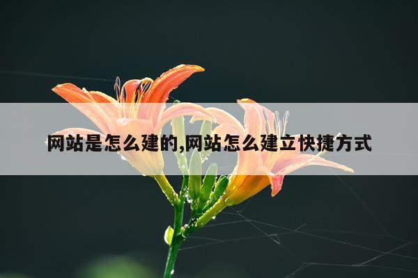 网站是怎么建的,网站怎么建立快捷方式