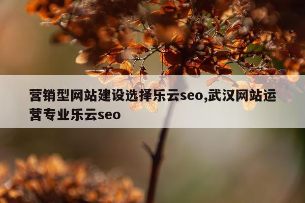 营销型网站建设选择乐云seo,武汉网站运营专业乐云seo