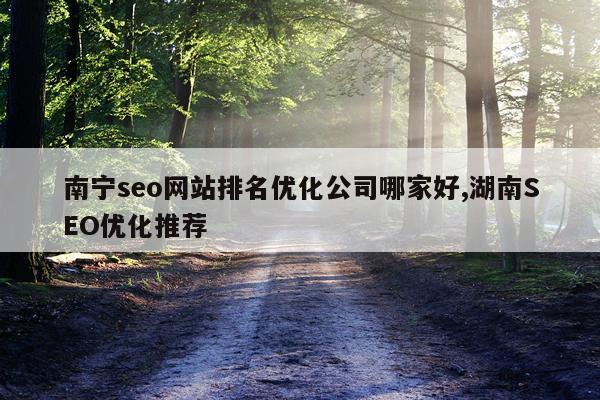 南宁seo网站排名优化公司哪家好,湖南SEO优化推荐