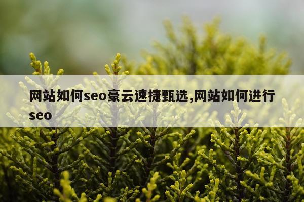 网站如何seo豪云速捷甄选,网站如何进行seo