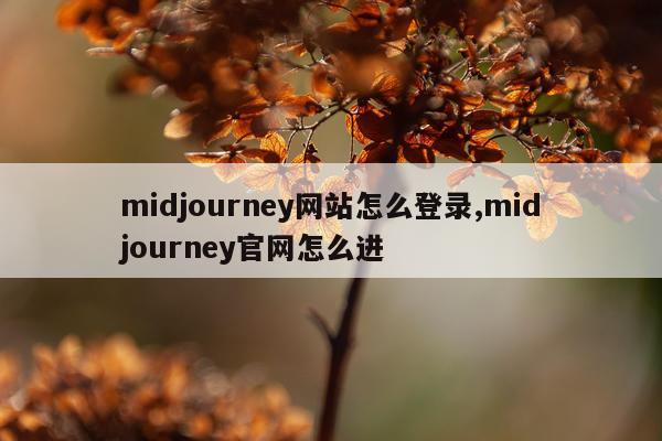 midjourney网站怎么登录,midjourney官网怎么进