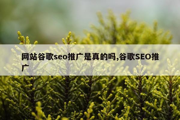 网站谷歌seo推广是真的吗,谷歌SEO推广