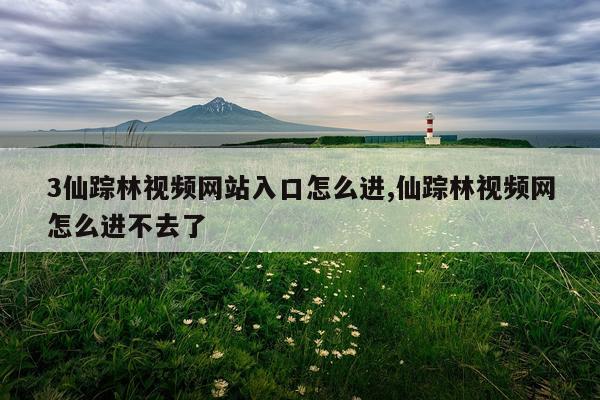 3仙踪林视频网站入口怎么进,仙踪林视频网怎么进不去了