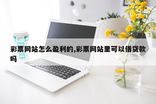 彩票网站怎么盈利的,彩票网站里可以借贷款吗