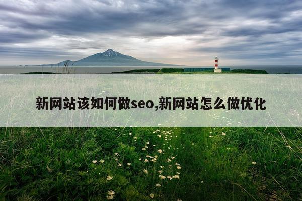 新网站该如何做seo,新网站怎么做优化