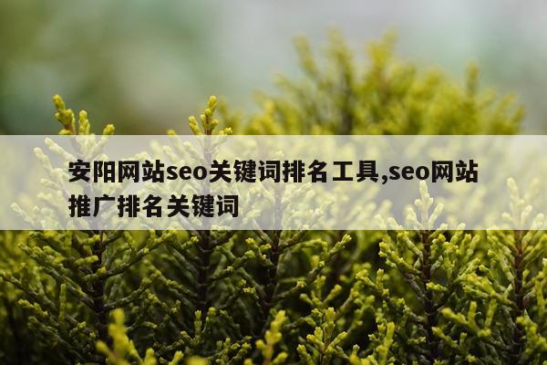 安阳网站seo关键词排名工具,seo网站推广排名关键词