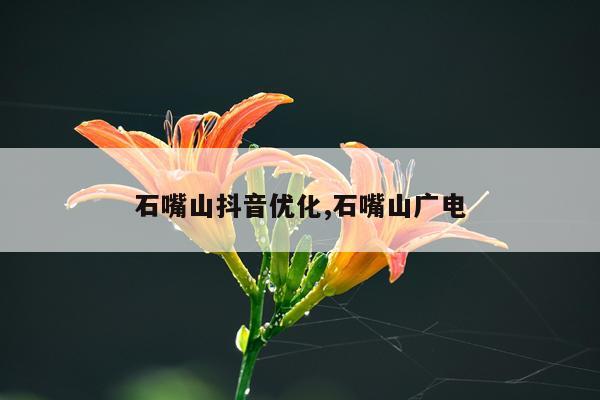 石嘴山抖音优化,石嘴山广电