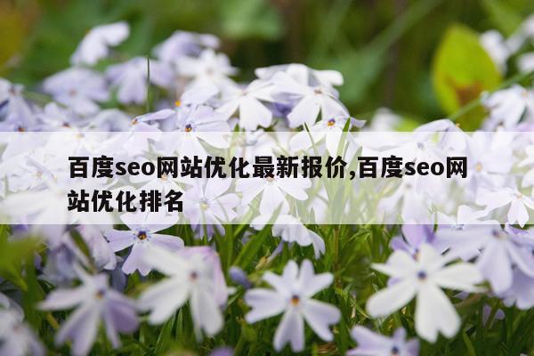 百度seo网站优化最新报价,百度seo网站优化排名
