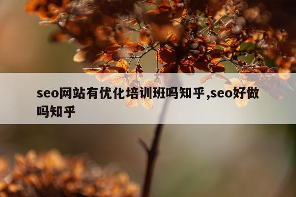 seo网站有优化培训班吗知乎,seo好做吗知乎