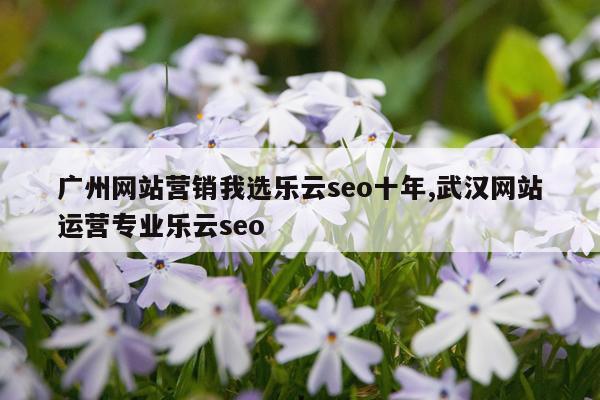 广州网站营销我选乐云seo十年,武汉网站运营专业乐云seo