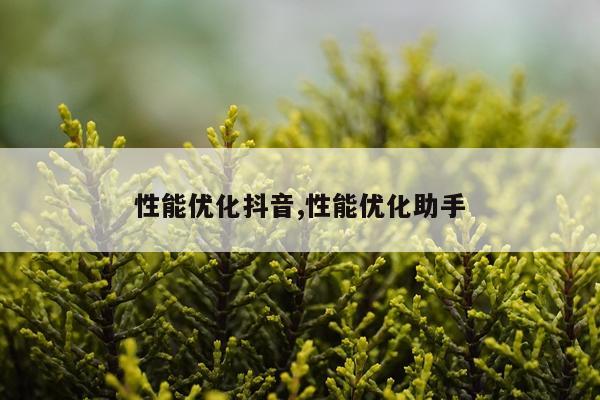 性能优化抖音,性能优化助手