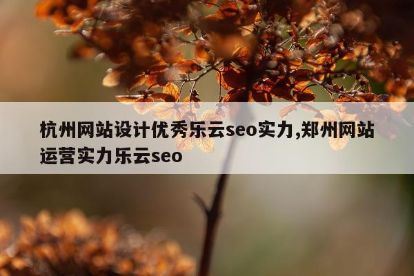 杭州网站设计优秀乐云seo实力,郑州网站运营实力乐云seo