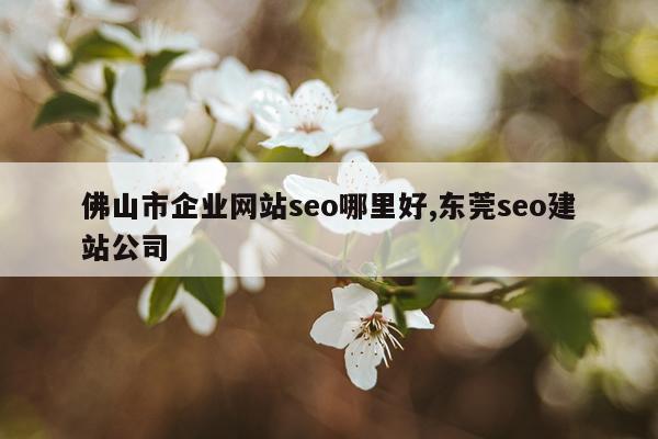佛山市企业网站seo哪里好,东莞seo建站公司