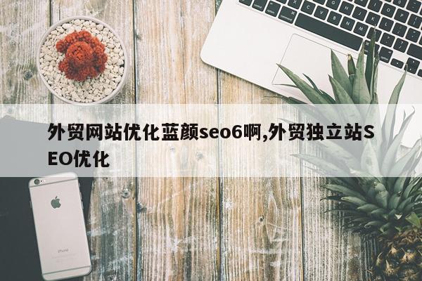 外贸网站优化蓝颜seo6啊,外贸独立站SEO优化