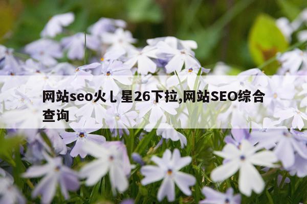 网站seo火乚星26下拉,网站SEO综合查询