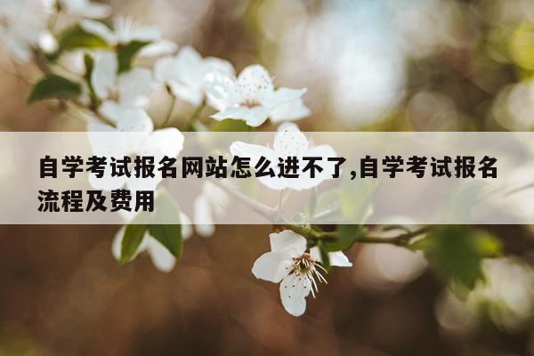 自学考试报名网站怎么进不了,自学考试报名流程及费用