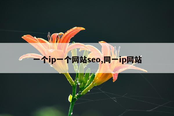 一个ip一个网站seo,同一ip网站