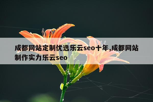 成都网站定制优选乐云seo十年,成都网站制作实力乐云seo