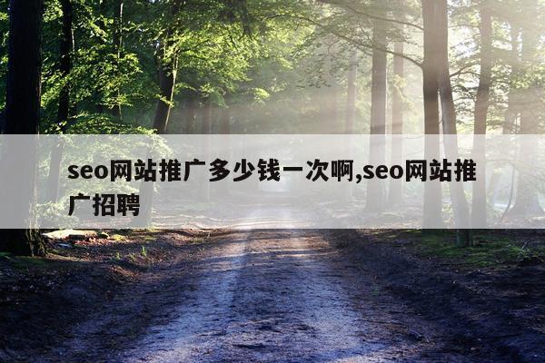 seo网站推广多少钱一次啊,seo网站推广招聘