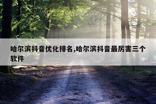哈尔滨抖音优化排名,哈尔滨抖音最厉害三个软件