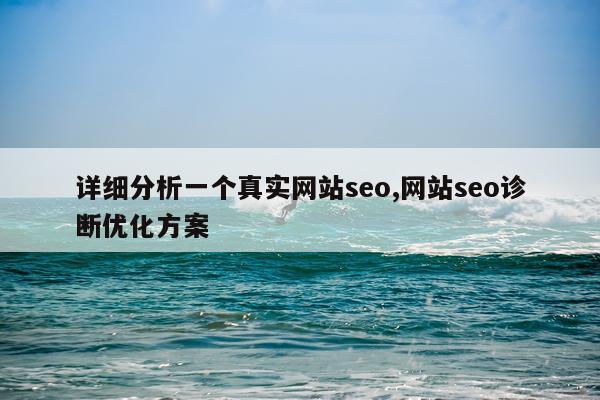 详细分析一个真实网站seo,网站seo诊断优化方案