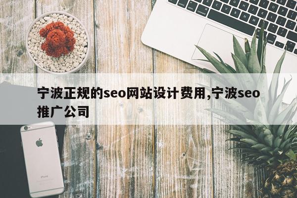 宁波正规的seo网站设计费用,宁波seo推广公司