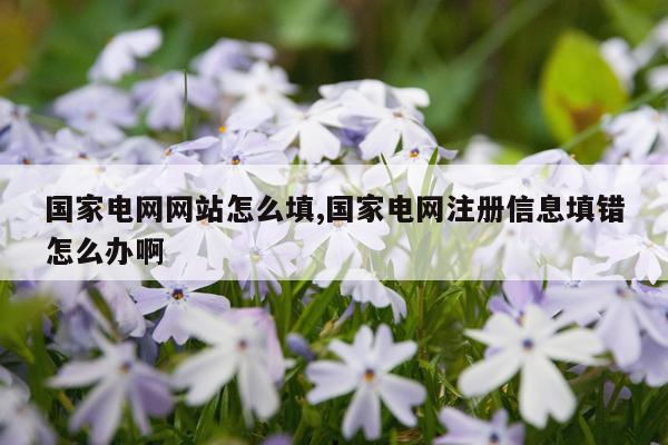 国家电网网站怎么填,国家电网注册信息填错怎么办啊