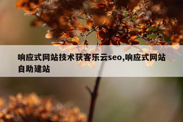 响应式网站技术获客乐云seo,响应式网站自助建站