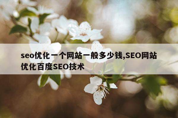 seo优化一个网站一般多少钱,SEO网站优化百度SEO技术