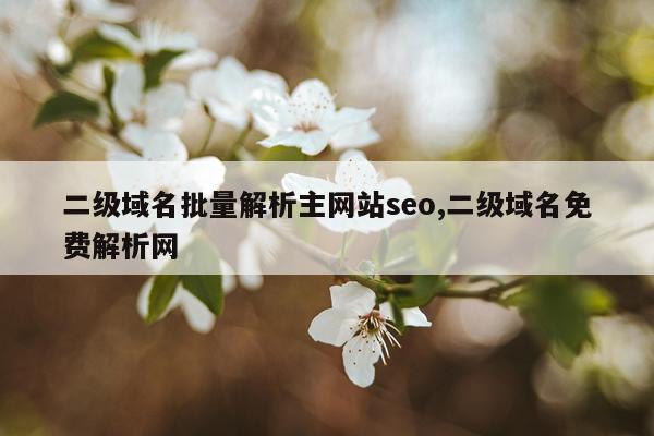 二级域名批量解析主网站seo,二级域名免费解析网