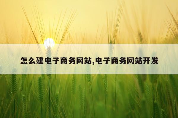 怎么建电子商务网站,电子商务网站开发