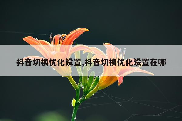 抖音切换优化设置,抖音切换优化设置在哪