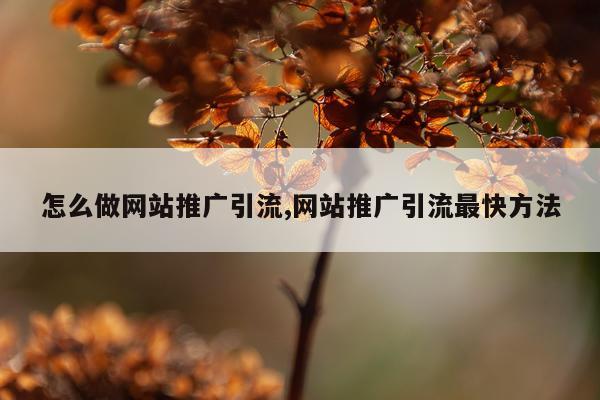 怎么做网站推广引流,网站推广引流最快方法