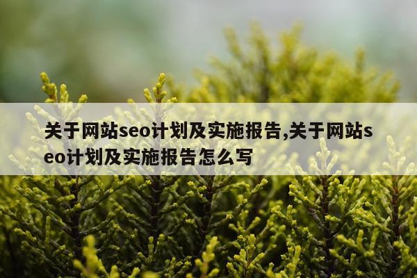 关于网站seo计划及实施报告,关于网站seo计划及实施报告怎么写