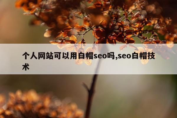 个人网站可以用白帽seo吗,seo白帽技术