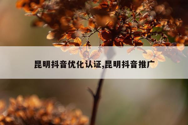昆明抖音优化认证,昆明抖音推广