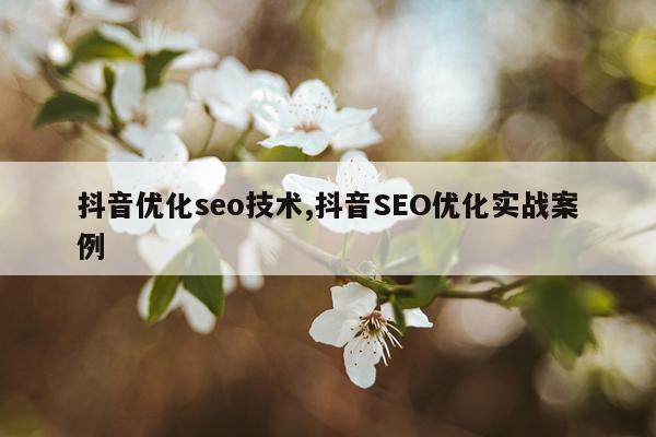 抖音优化seo技术,抖音SEO优化实战案例