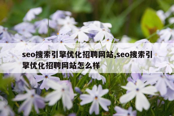seo搜索引擎优化招聘网站,seo搜索引擎优化招聘网站怎么样