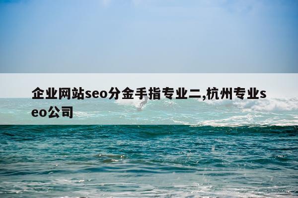 企业网站seo分金手指专业二,杭州专业seo公司