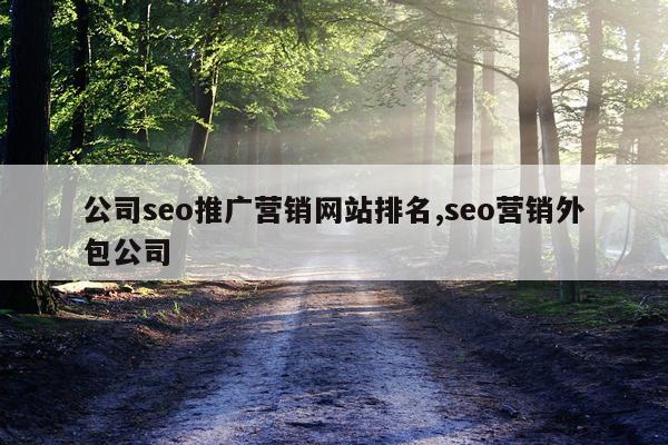 公司seo推广营销网站排名,seo营销外包公司