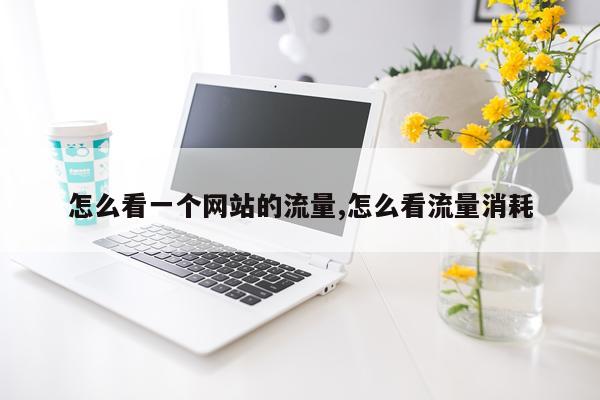 怎么看一个网站的流量,怎么看流量消耗