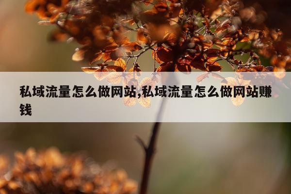 私域流量怎么做网站,私域流量怎么做网站赚钱