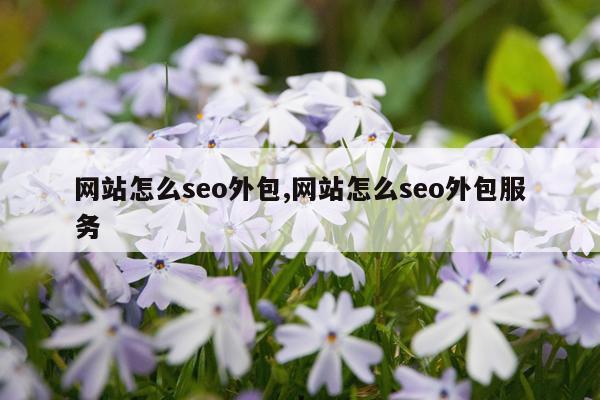 网站怎么seo外包,网站怎么seo外包服务