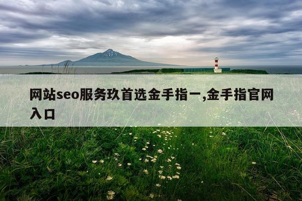 网站seo服务玖首选金手指一,金手指官网入口
